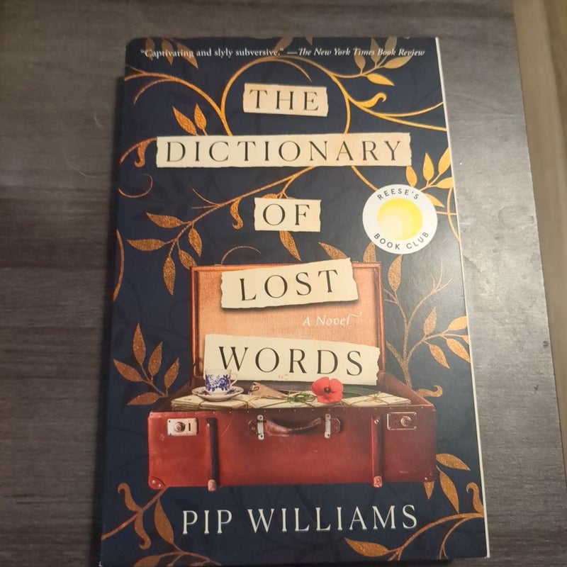 The Dictionary of Lost Words