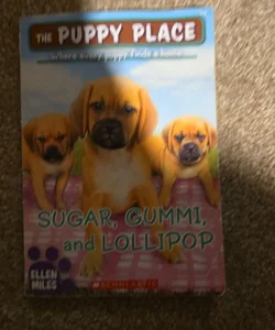 Sugar, Gummi and Lollipop