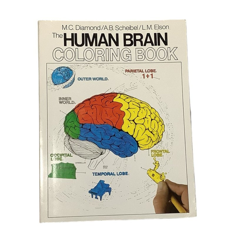 The Human Brain Coloring Book