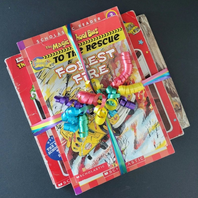 THE MAGIC SCHOOL BUS LOT OF 12 VINTAGE PBS TV 1990s SCHOLASTIC CHAPTER BOOKS RE
