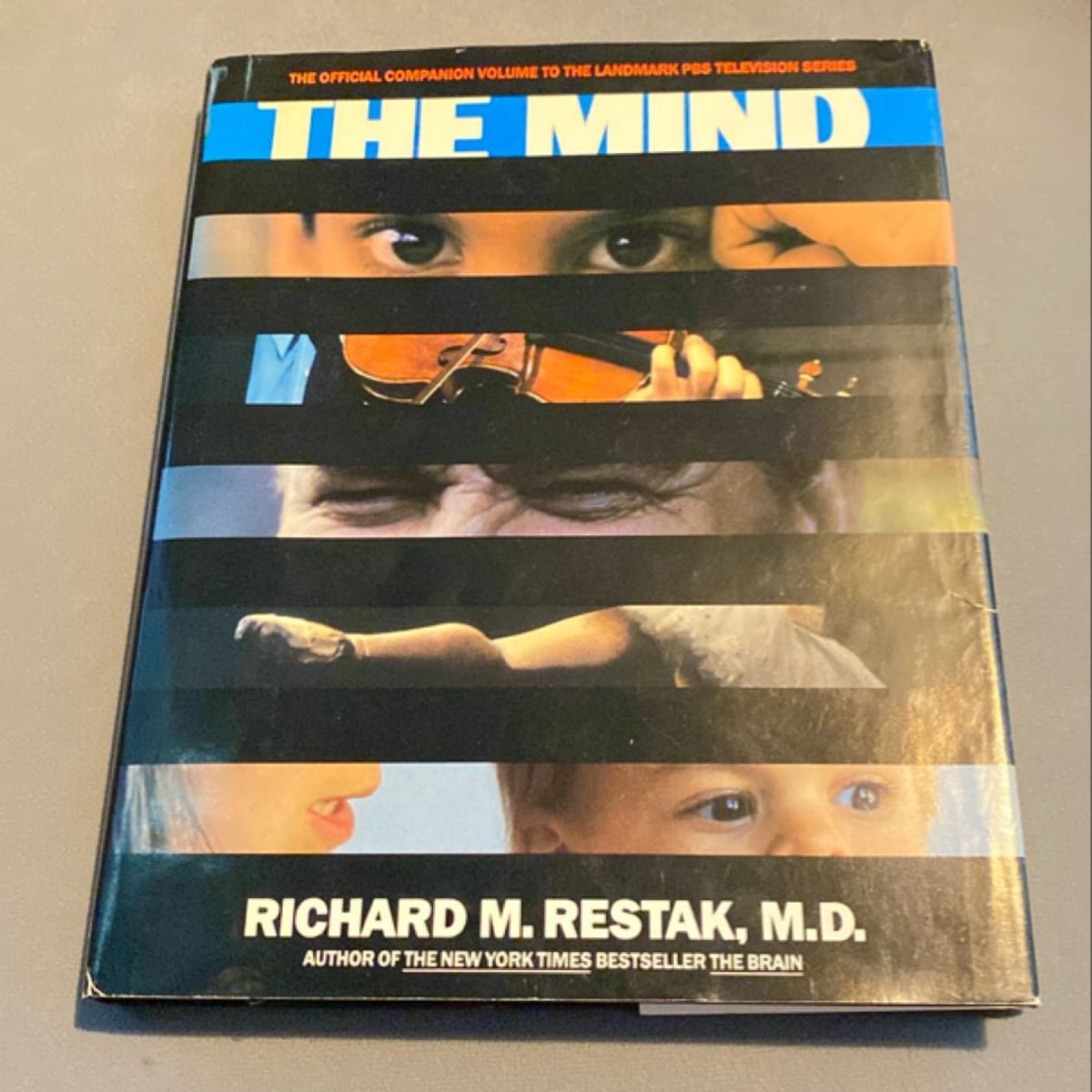 The Mind by Richard Restak