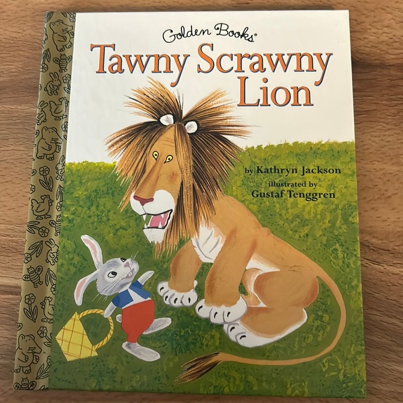 Tawny Scrawny Lion