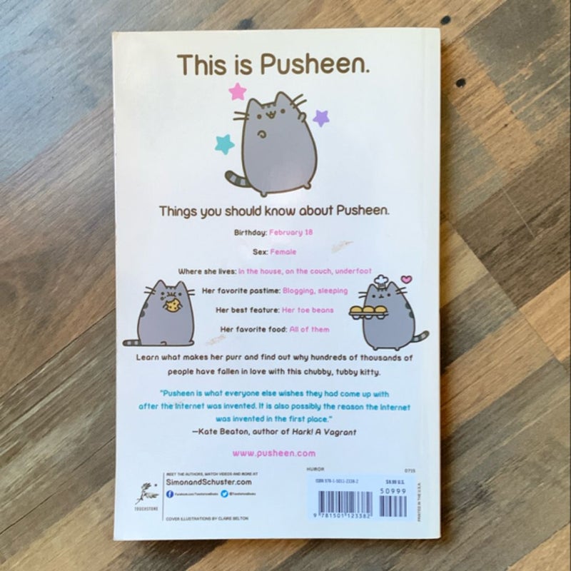 I am Pusheen the Cat