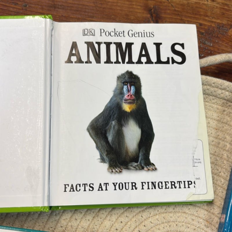 DK Pocket Genius bundle  