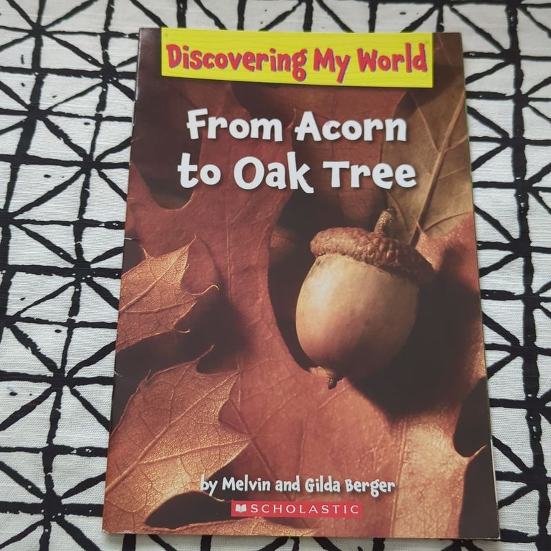 Discovering My World: Fall Series- Set of 5 Books Bundle