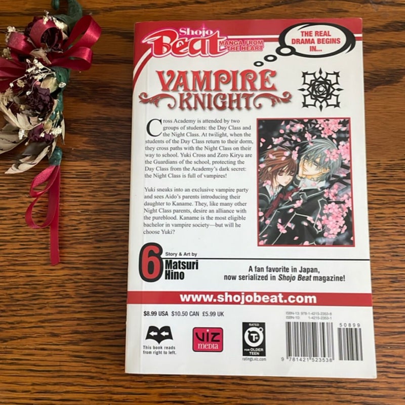 Vampire Knight, Vol. 6