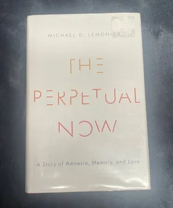 The Perpetual Now