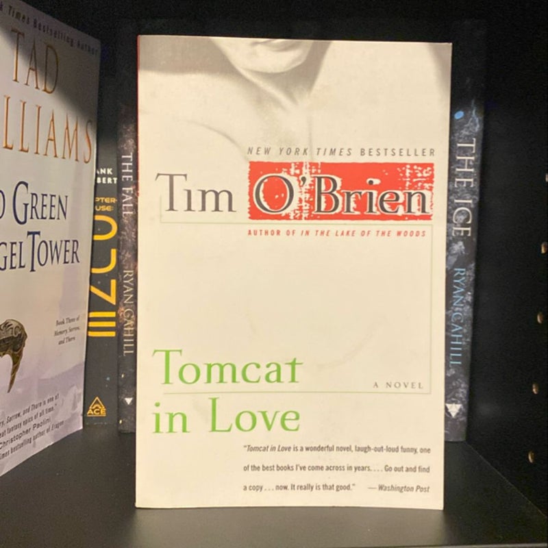 Tomcat in Love