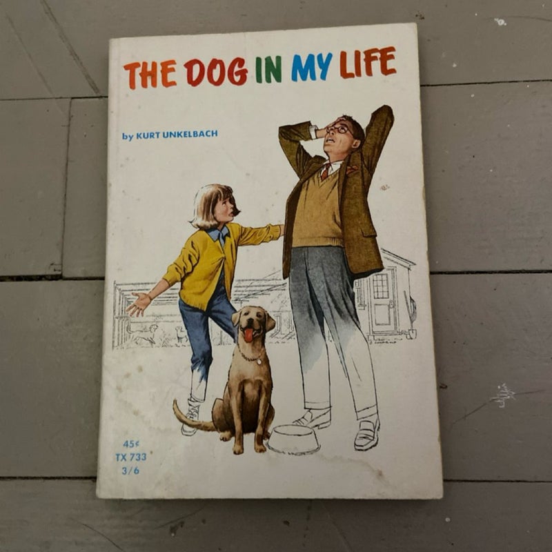 The Dog In My Life