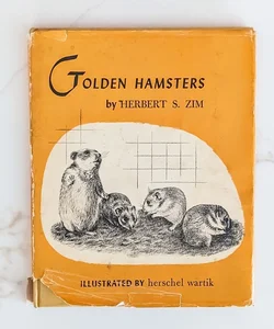 Golden Hamsters © 1951