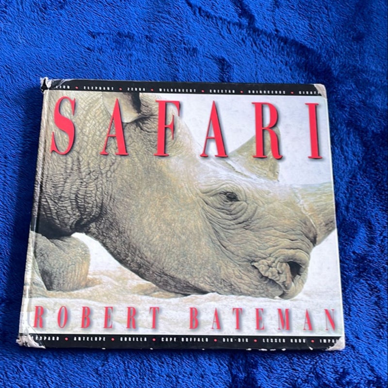 Safari