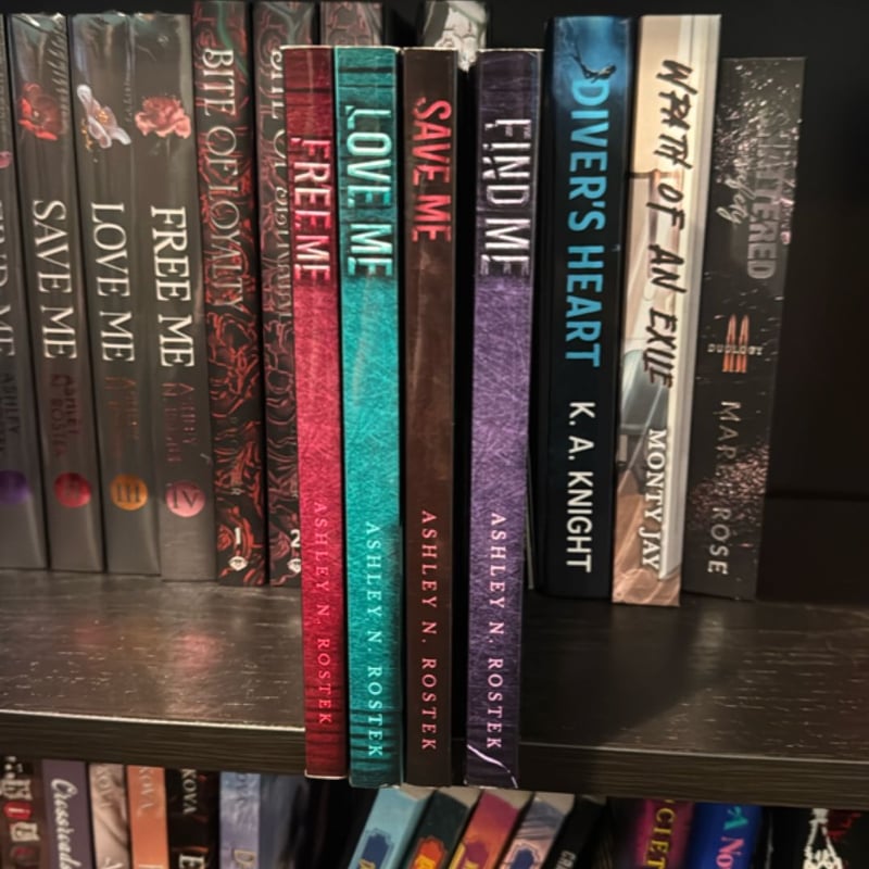 PLW WITSEC series by Ashley N. Rostek, Paperback | Pangobooks
