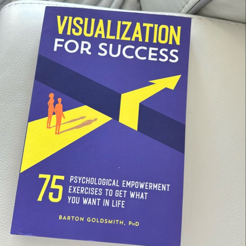 Visualization For Success
