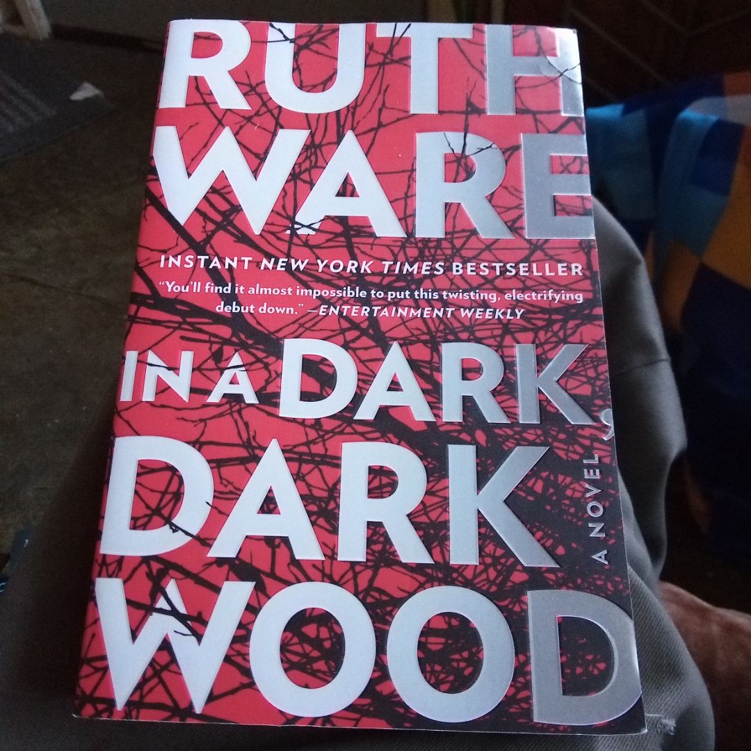 In a Dark, Dark Wood