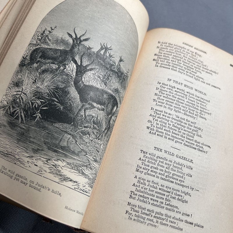 Poems by Lord Byron 
