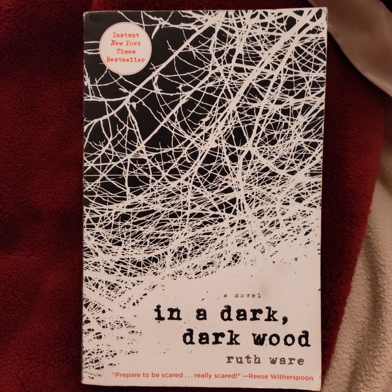 In a Dark, Dark Wood