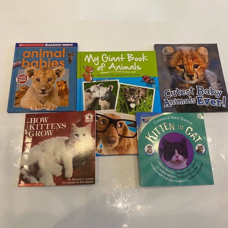 Baby Animal Books Bundle for Young Kids