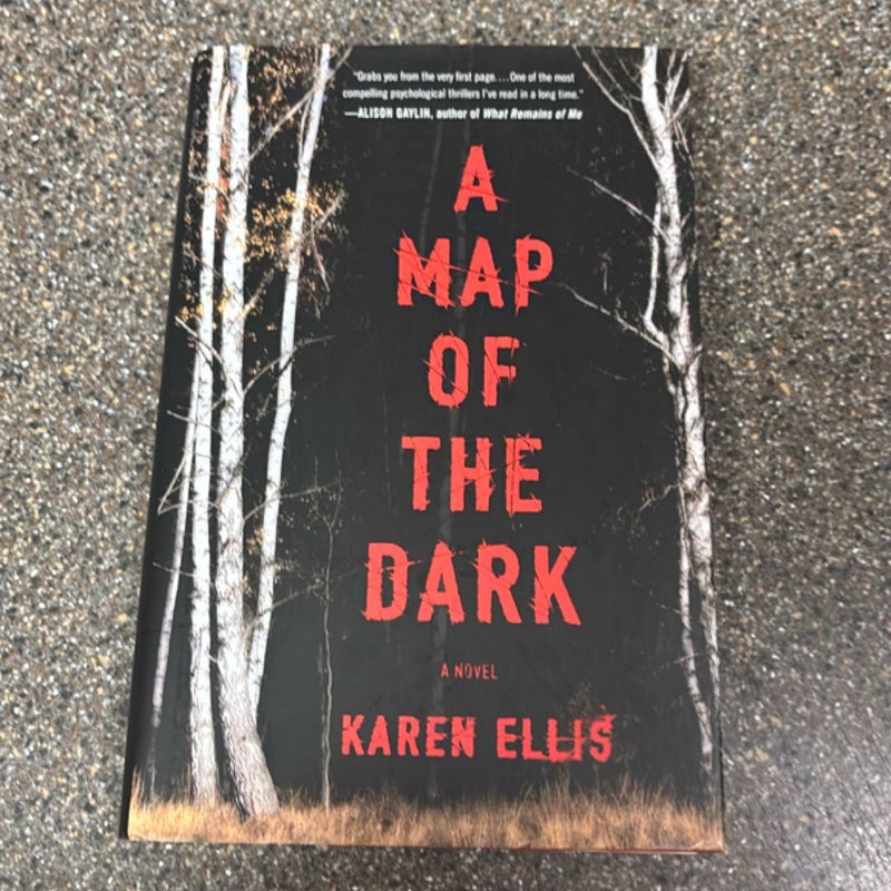 A Map of the Dark
