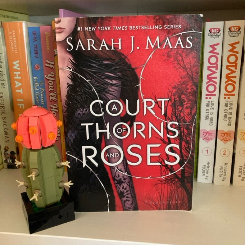 A Court of Thorns and Roses