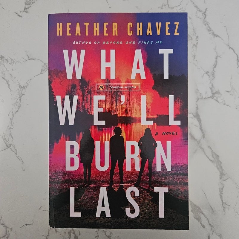 What We'll Burn Last (Advanced Read Copy) 