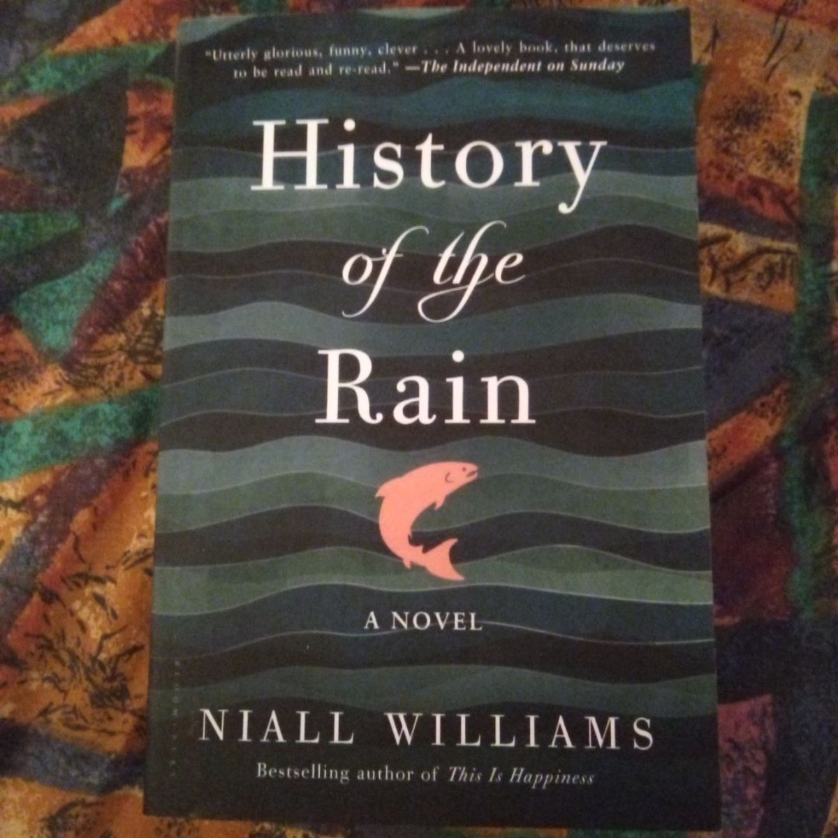 History of the Rain by Niall Williams