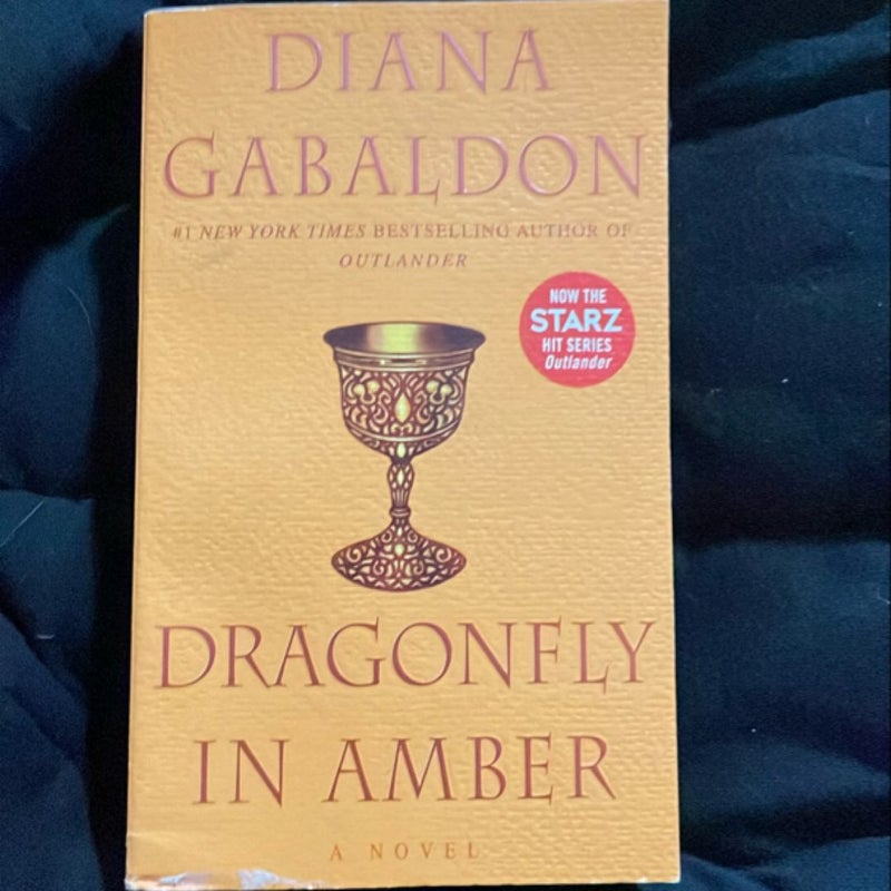 Dragonfly in Amber