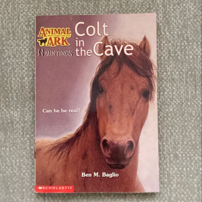 Colt in the Cave