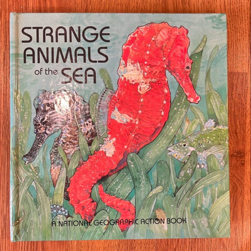 Strange Animals of the Sea