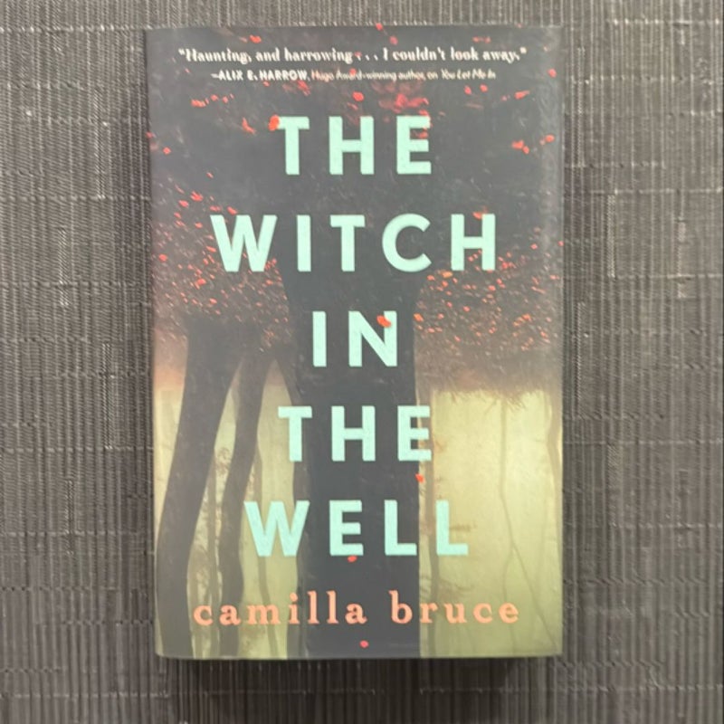 The Witch in the Well