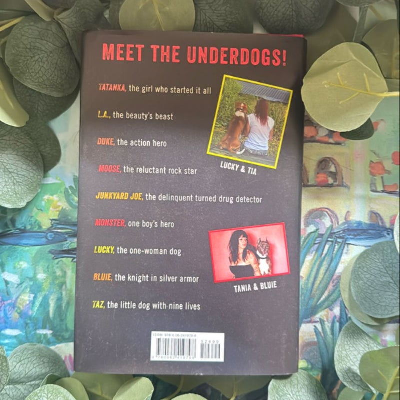 My Life among the Underdogs