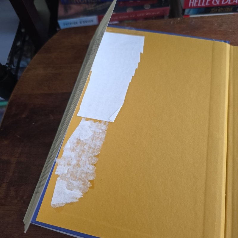 *EX-LIBRARY* The Daughters of Temperance Hobbs (Sequel to The Physick Book of Deliverance Dane)