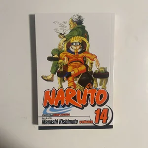 Naruto, Vol. 14