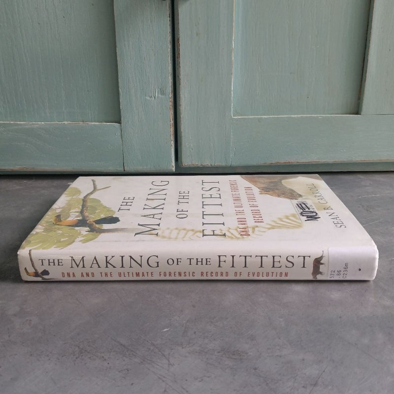 The Making of the Fittest