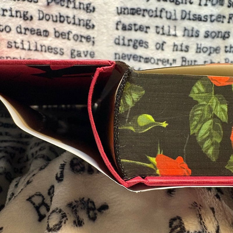 Cruel Illusions: Fairyloot Edition (slight damage, see all photos)