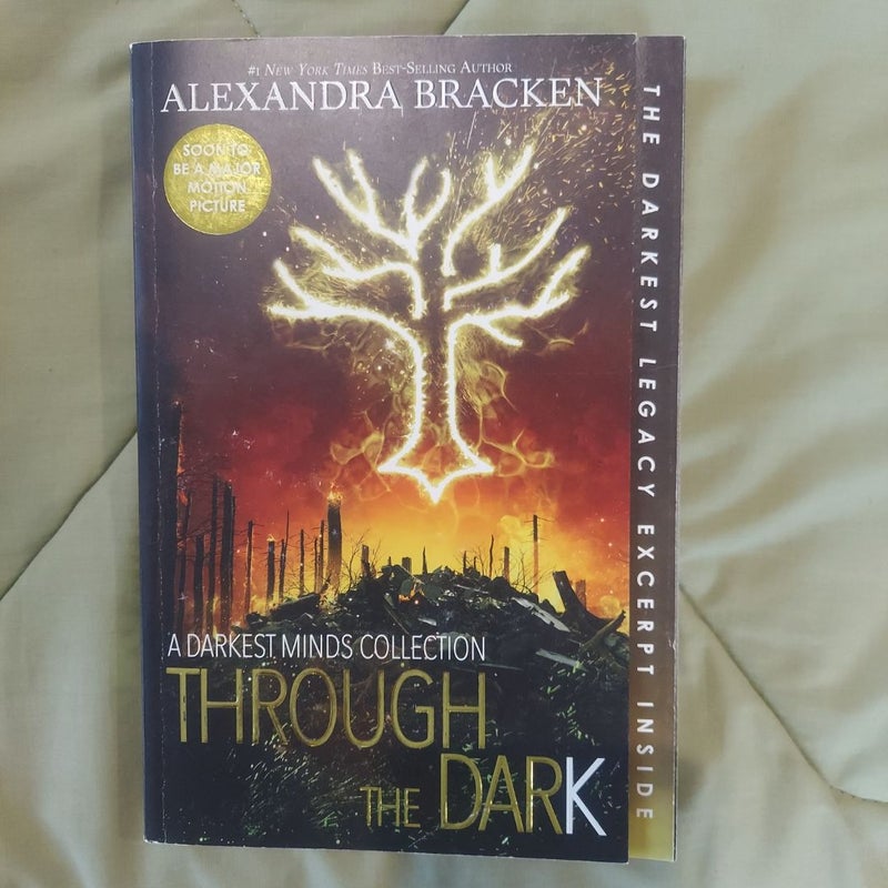 Through the Dark (Bonus Content) (a Darkest Minds Collection)