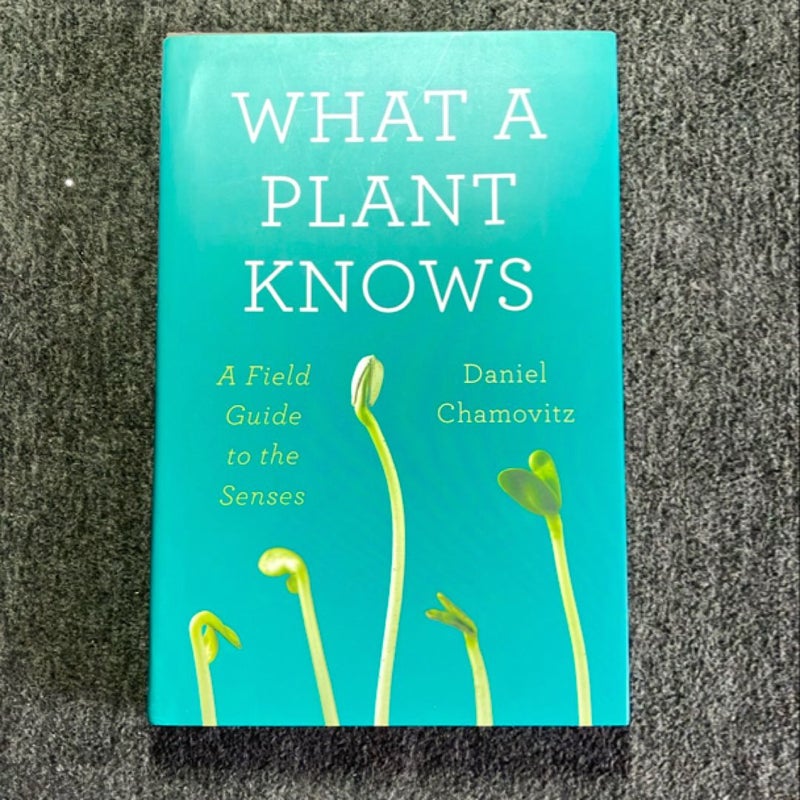 What a Plant Knows