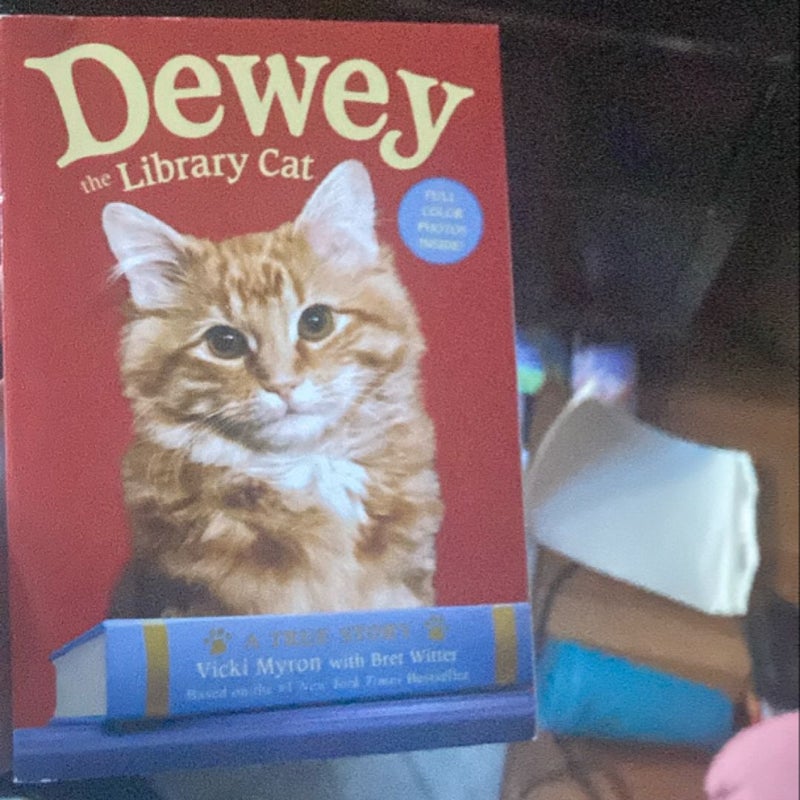 Dewey the Library Cat: a True Story