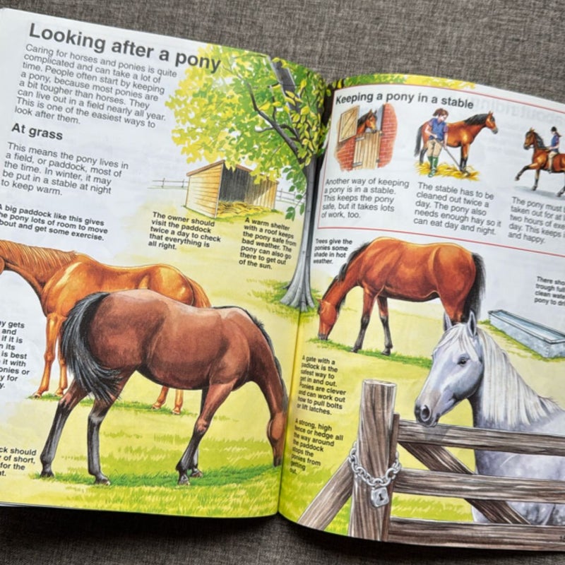 The Usborne Book of Horses & Ponies