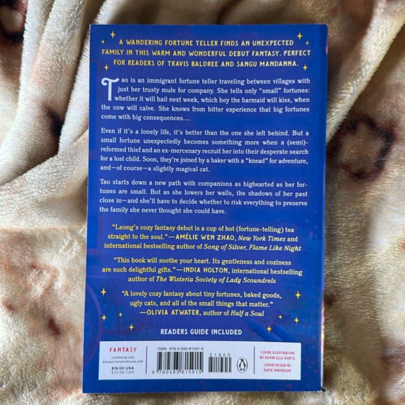 The Teller of Small Fortunes