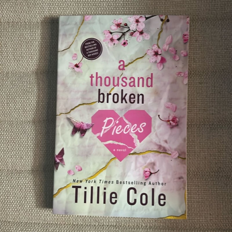 A Thousand Broken Pieces