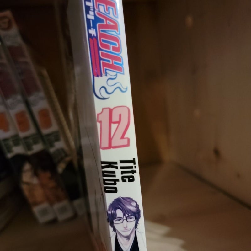 Bleach, Vol. 12
