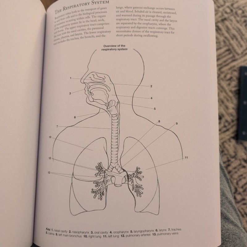 Complete Anatomy Coloring Book, Newly Revised and Updated Edition