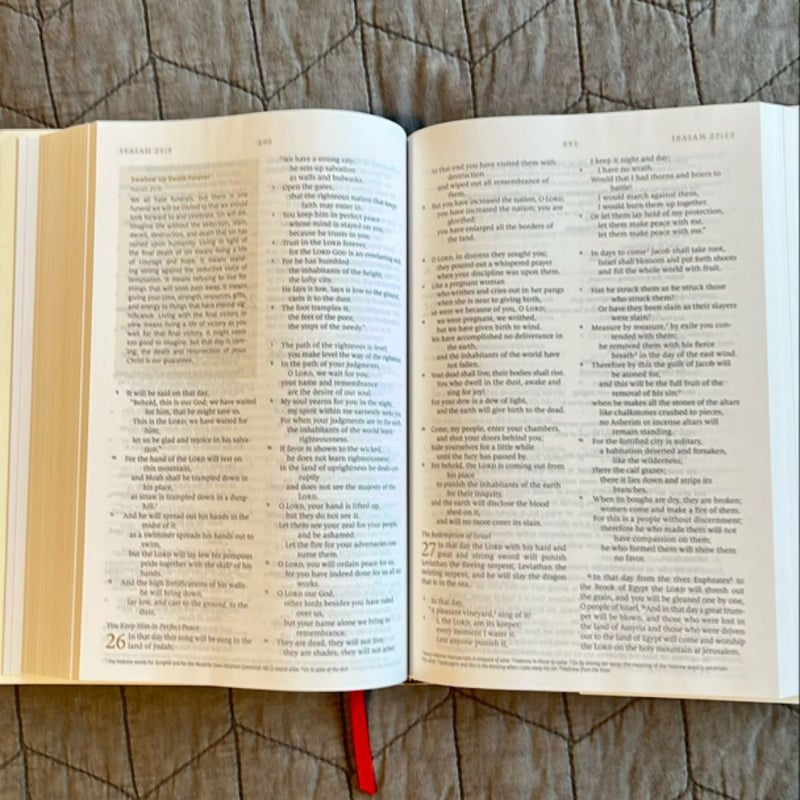 ESV Everyday Gospel Bible