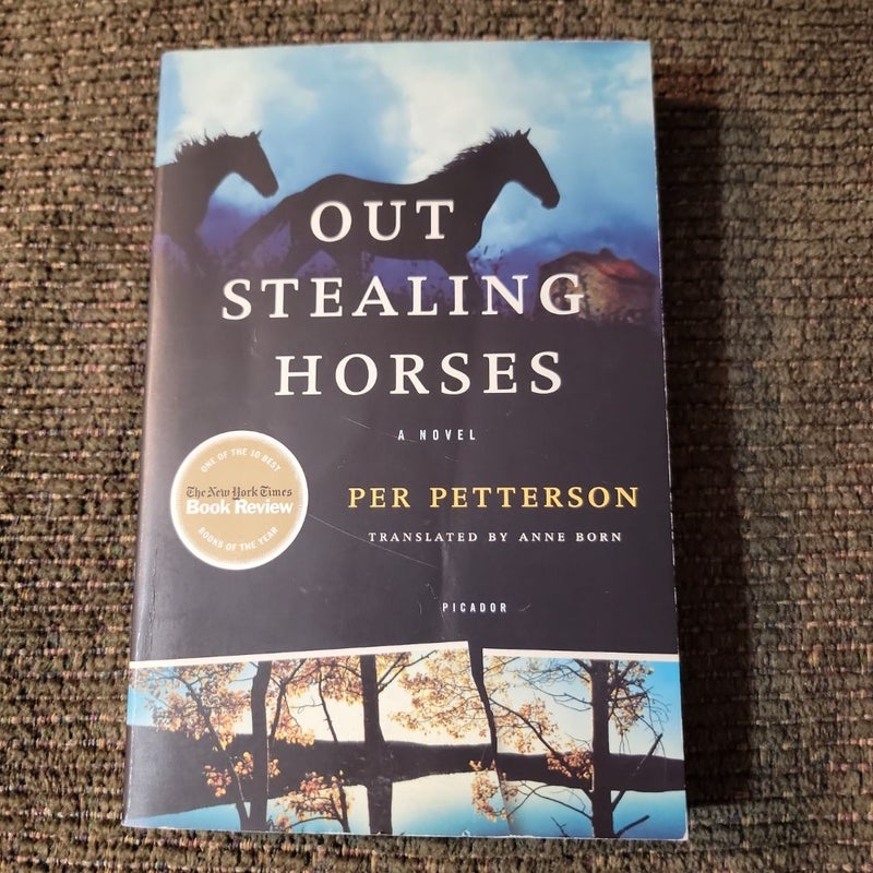 Out Stealing Horses