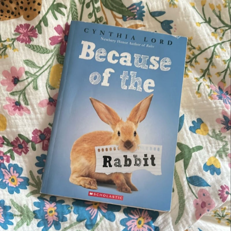 Because of the Rabbit 