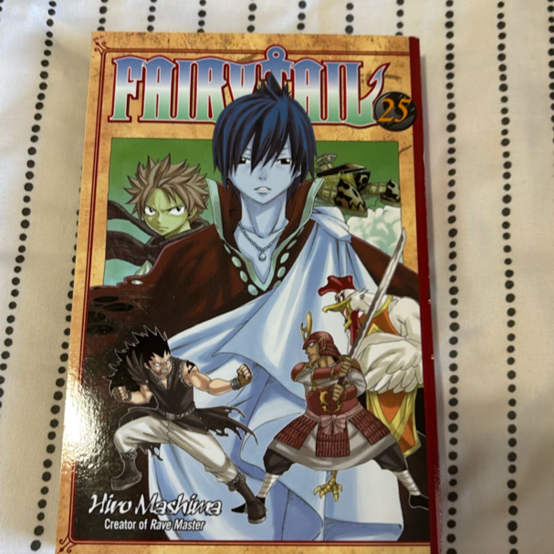 Fairy Tail 25