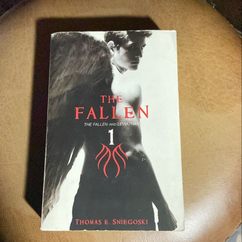 The Fallen 1