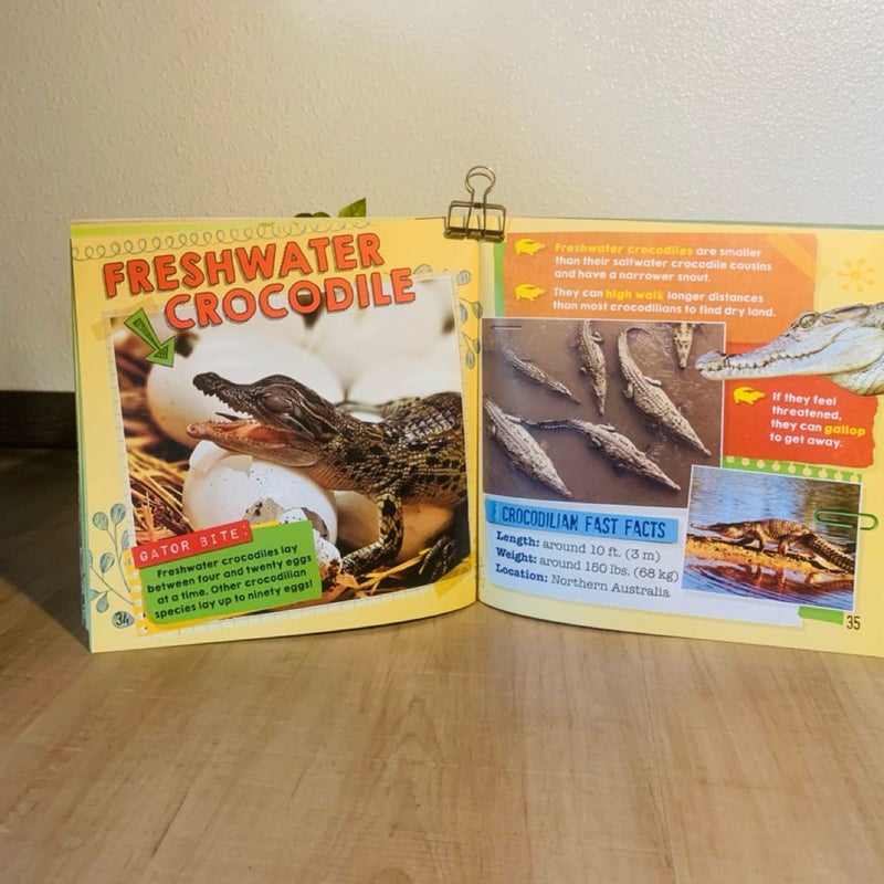 Gator Bites