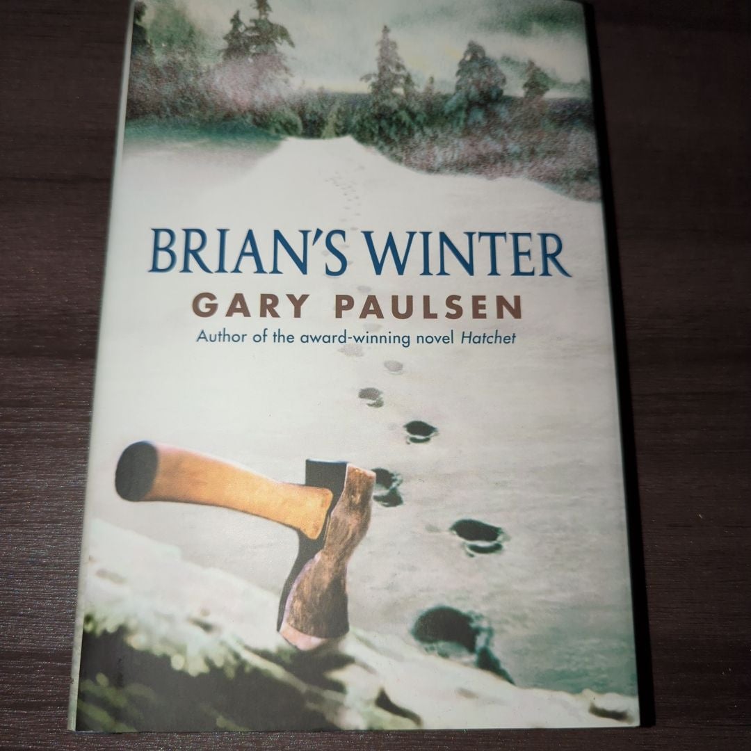 Brian's Winter