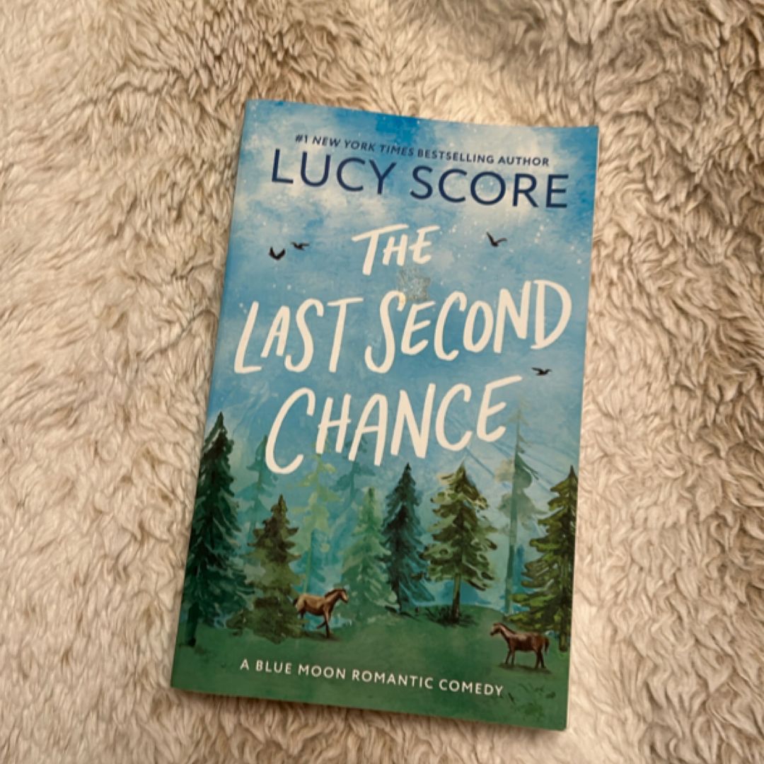 The Last Second Chance